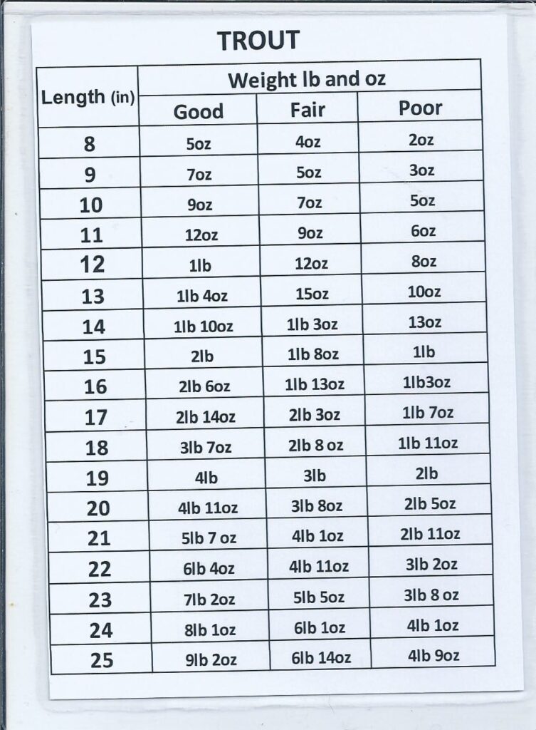 Trout Sizing photo
