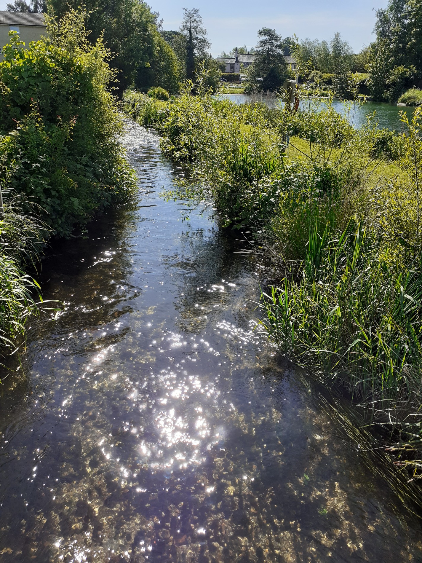 Fishery Rules Boxmoor Trout Fishery